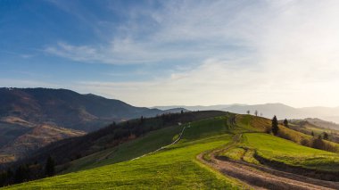 Karpat Dağları, Ukrayna. Gün batımında dağlar. Yaz mevsiminde güzel doğal manzara
