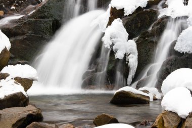 Küçük, aktif bir şelale. Temiz dağ deresi, karlı kış manzarası, vahşi yaşam geçmişi