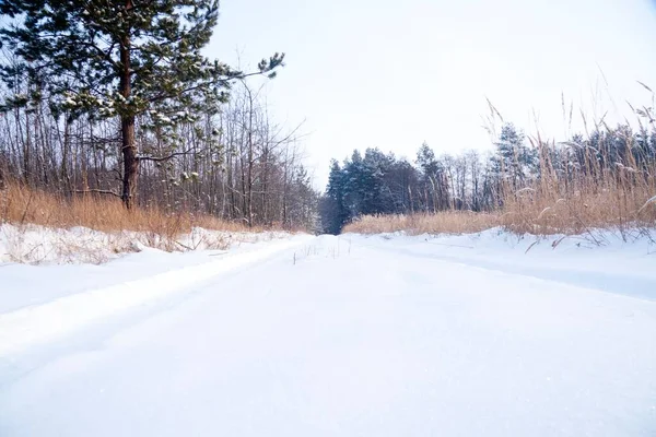 Winterlandschap, natuur bedekt met sneeuw bij zonsondergang — Stockfoto