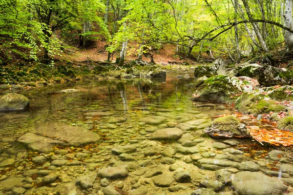 Yaz günü orman suyu hareket bulanıklığı dalgalarıyla