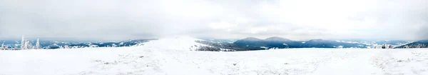 Pegunungan Carpathian, Ukraina. Pohon-pohon ditutupi dengan embun dan salju di pegunungan musim dingin - Latar belakang bersalju Natal — Stok Foto