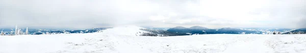 Montanhas Cárpatas, Ucrânia. Árvores cobertas com geada e neve em montanhas de inverno - Natal fundo nevado — Fotografia de Stock