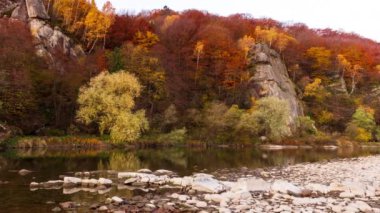 Dağdaki şelaleden akan nehrin manzarası. Dağlardaki orman nehri. Dağ Ormanı nehir manzarası. Güzel bir manzara. Düş! Sonbahar havası.