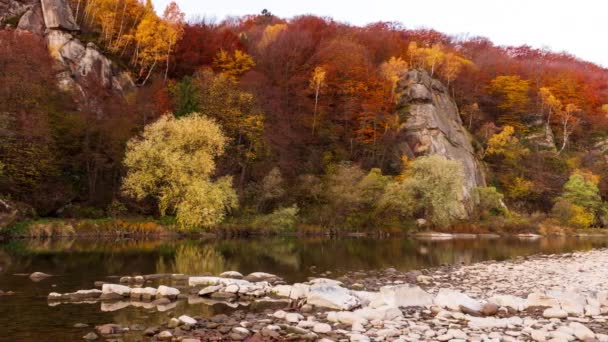 山の滝から流れる川の眺め。山の中で森林川。山の森の川の景色。美しい風景。秋だ。秋の気分. — ストック動画