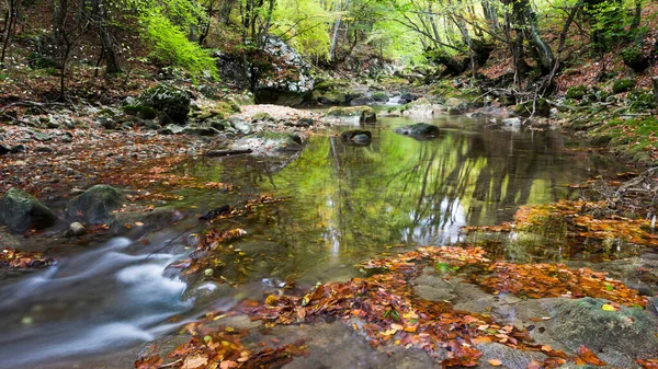 Sommertag Wald Bach Wasser mit Bewegung verschwimmen Wellen — Stockfoto