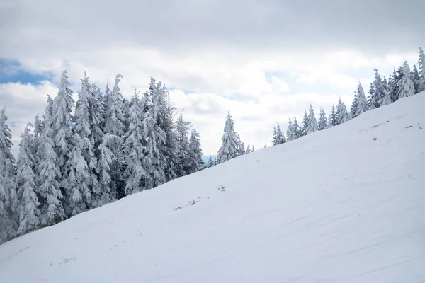 Dağın tepesinden, ormandaki donma ve alçak bulut manzarası.