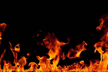 Köye yakın ağaçlık alanda çiçekler açıyor. Çiçeklere yakın çekim.