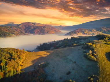 Ukrayna. Karpatlar 'da gün doğumu parlıyor. Dağların vadilerine ve ovalarına renkli sis yayılıyor. Altın bozkırlar göz kamaştırıcı derecede güzel..