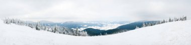 Karpat Dağları, Ukrayna. Kış dağlarında karla kaplı ağaçlar - Noel karlı zemin