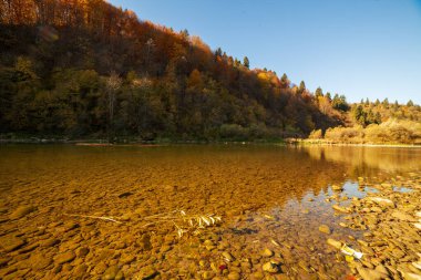 Sonbaharda şelalenin manzarası. Sonbahar renklerinde şelale. Sonbahar manzarasında dağ nehri. Ukrayna, Stryj Nehri.