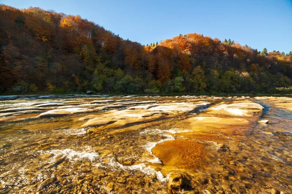Sonbaharda şelalenin manzarası. Sonbahar renklerinde şelale. Sonbahar manzarasında dağ nehri. Ukrayna, Stryj Nehri.