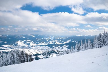 Dağın tepesinden, ormandaki donma ve alçak bulut manzarası.