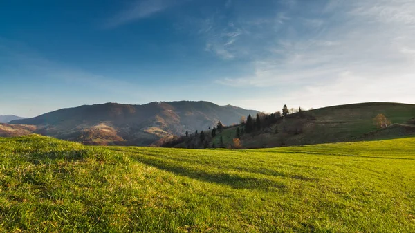 Karpat Dağları, Ukrayna. Gün batımında dağlar. Yaz mevsiminde güzel doğal manzara