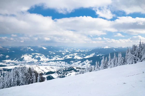 View from the top of mountain on forest in frost and low cloud. — Fotografia de Stock