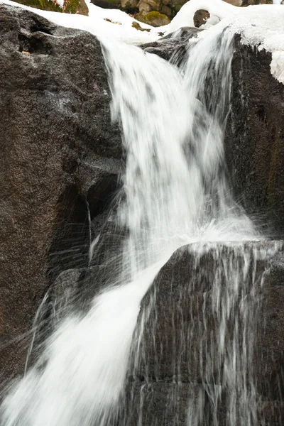 Küçük, aktif bir şelale. Temiz dağ deresi, karlı kış manzarası, vahşi yaşam geçmişi