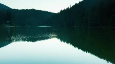Güzel doğa ve bereketli yeşil ormanlar ve Karpatlar 'ın incisinin etrafındaki bitki örtüsüyle harika bir manzara - Synevyr Gölü. Ukrayna 'daki Karpatlar. Büyük köknar üzerinde mistik sis.