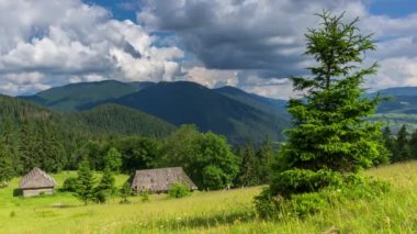 Güzel doğa ve bereketli yeşil ormanlar ve Karpatlar 'ın incisinin etrafındaki bitki örtüsüyle harika bir manzara - Synevyr Gölü. Ukrayna 'daki Karpatlar. Büyük köknar üzerinde mistik sis.