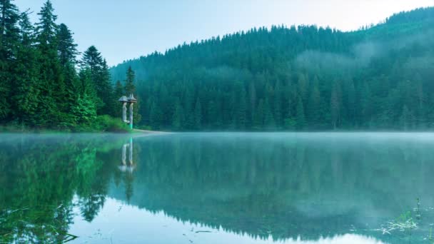 Beautiful nature and a wonderful landscape with lush green forests and vegetation around the pearl of the Carpathians - Lake Synevyr. Carpathians in Ukraine. Mystical fog over the great firs. — Stock Video