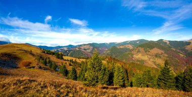 Dağlarla, ormanlarla ve Ukrayna 'daki Karpat Dağları' ndaki ağaçlarla harika bir manzara..