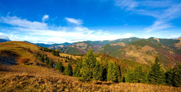 Dağlarla, ormanlarla ve Ukrayna 'daki Karpat Dağları' ndaki ağaçlarla harika bir manzara..