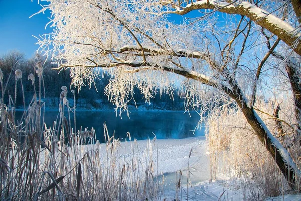 Photo the snow-covered river did not freeze in winter.The river flows in winter. Snow on the branches of trees. Reflection of snow in the river. Huge snowdrifts lie on the Bank of the stream. — стоковое фото