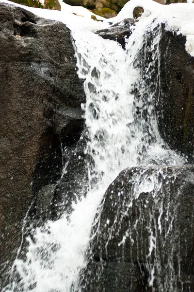 Küçük, aktif bir şelale. Temiz dağ deresi, karlı kış manzarası, vahşi yaşam geçmişi