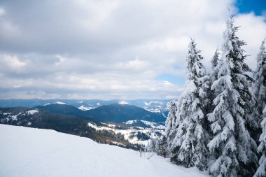 Dağın tepesinden, ormandaki donma ve alçak bulut manzarası.