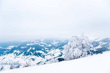 Karpat Dağları, Ukrayna. Güzel kış manzarası. Orman işçisi karla kaplı..