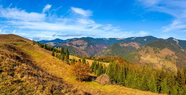 Dağlarla, ormanlarla ve Ukrayna 'daki Karpat Dağları' ndaki ağaçlarla harika bir manzara..