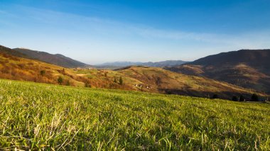 Karpat Dağları, Ukrayna. Gün batımında dağlar. Yaz mevsiminde güzel doğal manzara