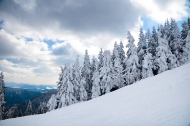 View from the top of mountain on forest in frost and low cloud.