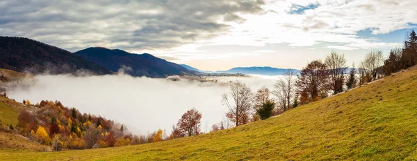 Cárpatos, Ucrania.Hierba congelada cubierta con escarcha blanca contra el telón de fondo de un hermoso cielo azul y una niebla blanca esponjosa —  Fotos de Stock