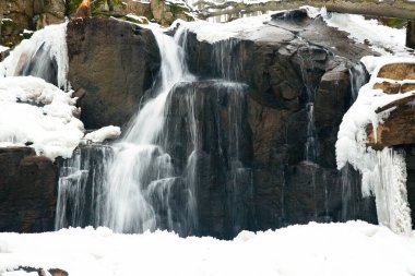 Küçük, aktif bir şelale. Temiz dağ deresi, karlı kış manzarası, vahşi yaşam geçmişi