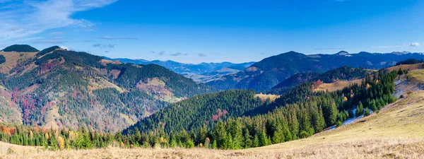 Dağlarla, ormanlarla ve Ukrayna 'daki Karpat Dağları' ndaki ağaçlarla harika bir manzara..