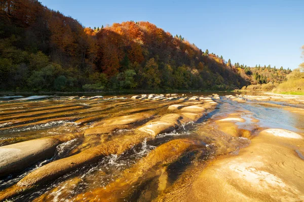 Sonbaharda şelalenin manzarası. Sonbahar renklerinde şelale. Sonbahar manzarasında dağ nehri. Ukrayna, Stryj Nehri.