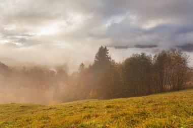Güzel yaz Karpatları, sabahın erken saatlerinde, gündoğumundan kısa bir süre önce. Dağ sisli vadisinin üzerinde güzel bir gün doğumu. Öndeki çayır tepesinde ağaçlar.