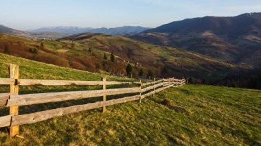 Karpat Dağları, Ukrayna. Gün batımında dağlar. Yaz mevsiminde güzel doğal manzara