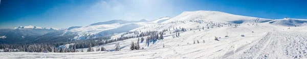 Beautiful winter panorama with fresh powder snow. Landscape with spruce trees, blue sky with sun light and high Carpathian mountains on background — Stock Photo, Image