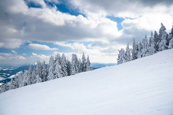Blick von der Bergspitze auf den Wald bei Frost und niedrigen Wolken. — Stockfoto