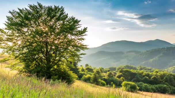 Wonderful Forest and grassy meadow at sunset. The golden sun touches the horizon, the end of the day. Shooting during the golden hour. Country rest on the Synevyr Pass, Carpathians, Ukraine. — стоковое видео