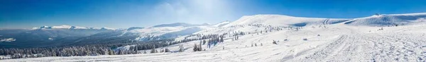 Beautiful winter panorama with fresh powder snow. Landscape with spruce trees, blue sky with sun light and high Carpathian mountains on background — Stock Photo, Image