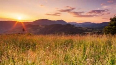 The sun over the Synevir pass of the Carpathian mountain ranges. High grass on the hill. Rural wonderful landscape in Carpathian mountains. Country rest in Synevyr pass, Carpathian mountains, Ukraine.