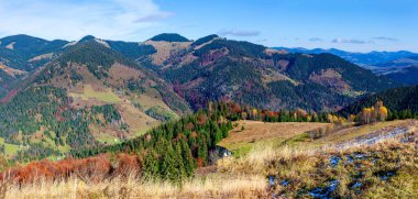Dağlarla, ormanlarla ve Ukrayna 'daki Karpat Dağları' ndaki ağaçlarla harika bir manzara..