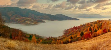Ukrayna. Büyülü bir sonbahar gündoğumu, vadilerin üzerinde süzülen sis, medeniyetten uzak dağ oluşumları. Synevyr geçidi Karpatya dağlarında..