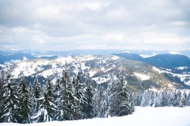 View from the top of mountain on forest in frost and low cloud.