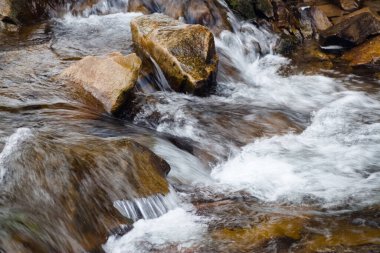 Küçük, aktif bir şelale. Temiz dağ deresi, karlı kış manzarası, vahşi yaşam geçmişi