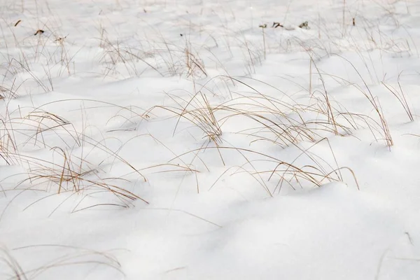 Winter landscape, nature covered with snow at winter sunset — Fotografia de Stock