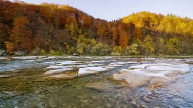 Dağ nehri akan suları taşır. Sonbahar dağ deresi. Doğal akış. Ukrayna 'daki Stry Dağı' nda turizm ve seyahat. Sonbaharın muhteşem doğal manzarası. Alp nehirlerinin akıntıları.