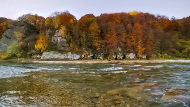 강 유역에 물이 흐르고 있다. 구릉지의 산줄기. 천연의 흐름. 관광 과 여행은 우크라이나,스 트리 산에서 한다. 가을의 멋진 자연 경관 이 군. 고산 지대의 강들의 급류. — 비디오