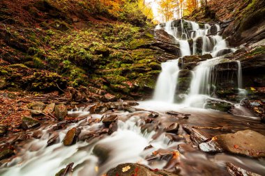 Ukpaine. Yosunlu kayaların arasında şelale. Günbatımında Karpat Dağları 'nda sonbahar ormanlarındaki bir nehirde güzel manzara akıntıları. Ulusal park Shypit Carpat 'ta gümüş akıntısı. Kuklalar.